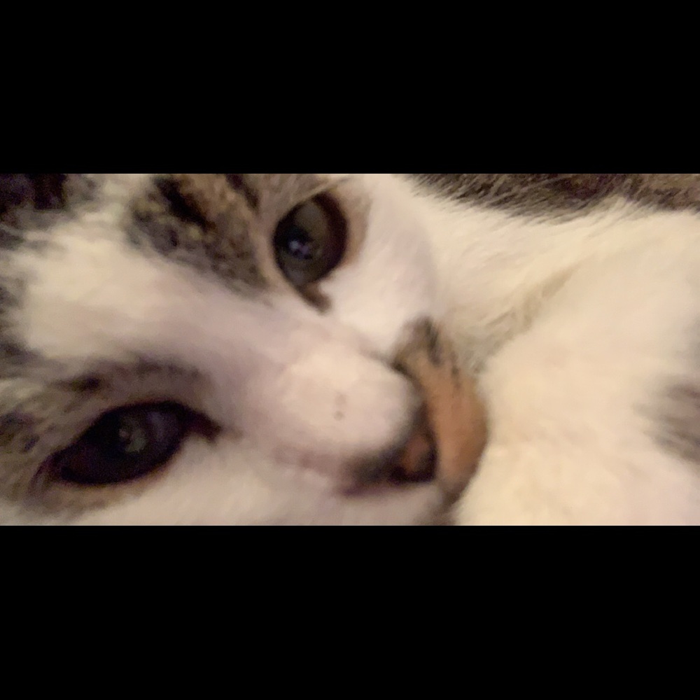 Meet your Posher, Jacob